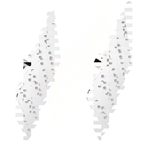 CCN 2.5 GPM 8 SQ RNSHWR SHWRHD CP